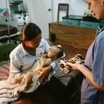 Eine Ärztin untersucht eine Mutter und ihr Kind. Foto: Ärzte der Welt