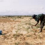 Frau arbeitet auf verdorrtem Feld in Niger. Foto: Isabelle Eshraghi