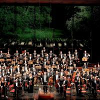 Das World Doctors Orchestra bei einem Benefizkonzert. Foto: Arlindo Homem