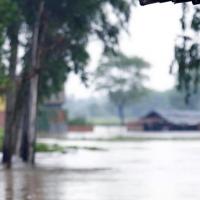 Nepalesin in überfluteter Landschaft