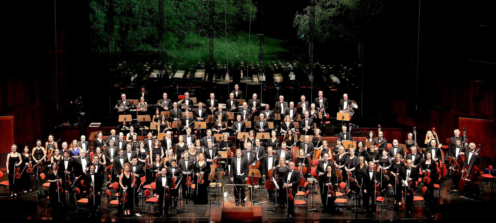 Das World Doctors Orchestra bei einem Benefizkonzert. Foto: Arlindo Homem