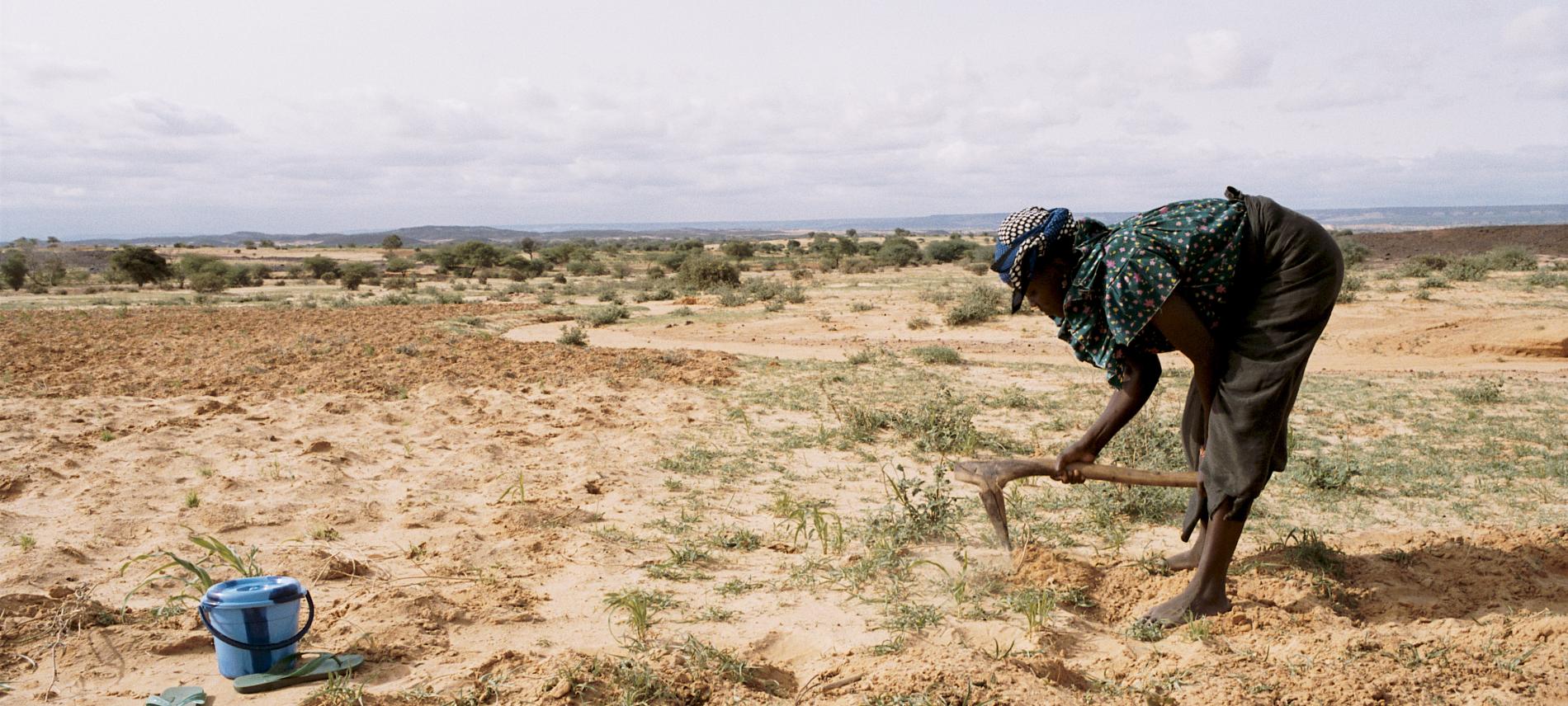 Frau arbeitet auf verdorrtem Feld in Niger. Foto: Isabelle Eshraghi