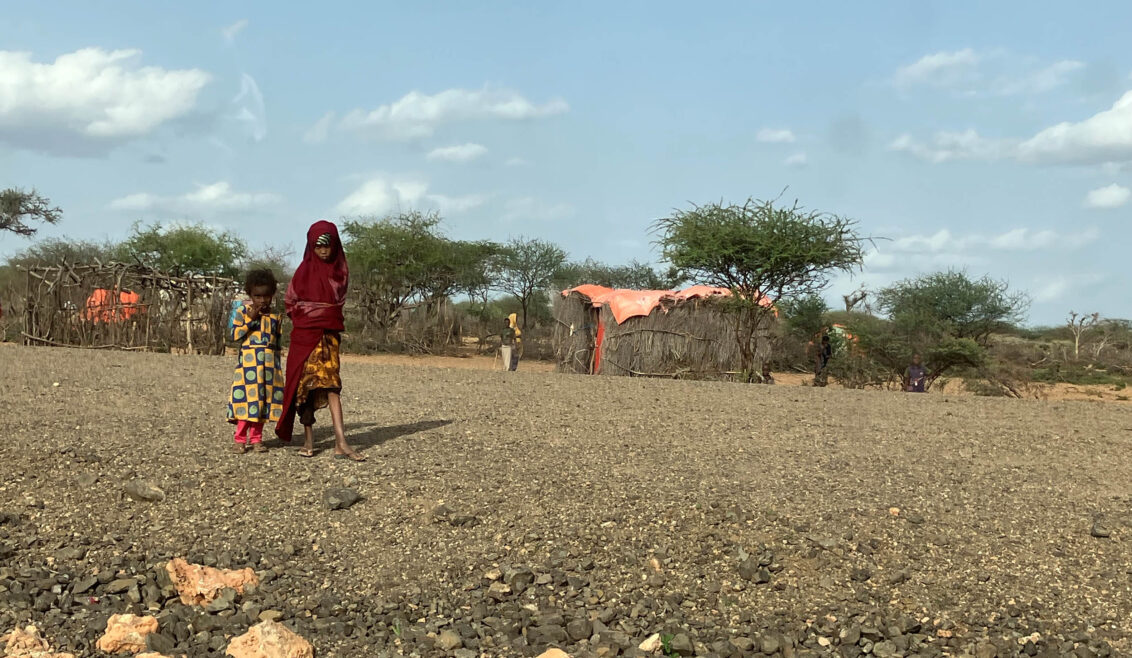 Klimakrise: Warum wir jetzt handeln müssen