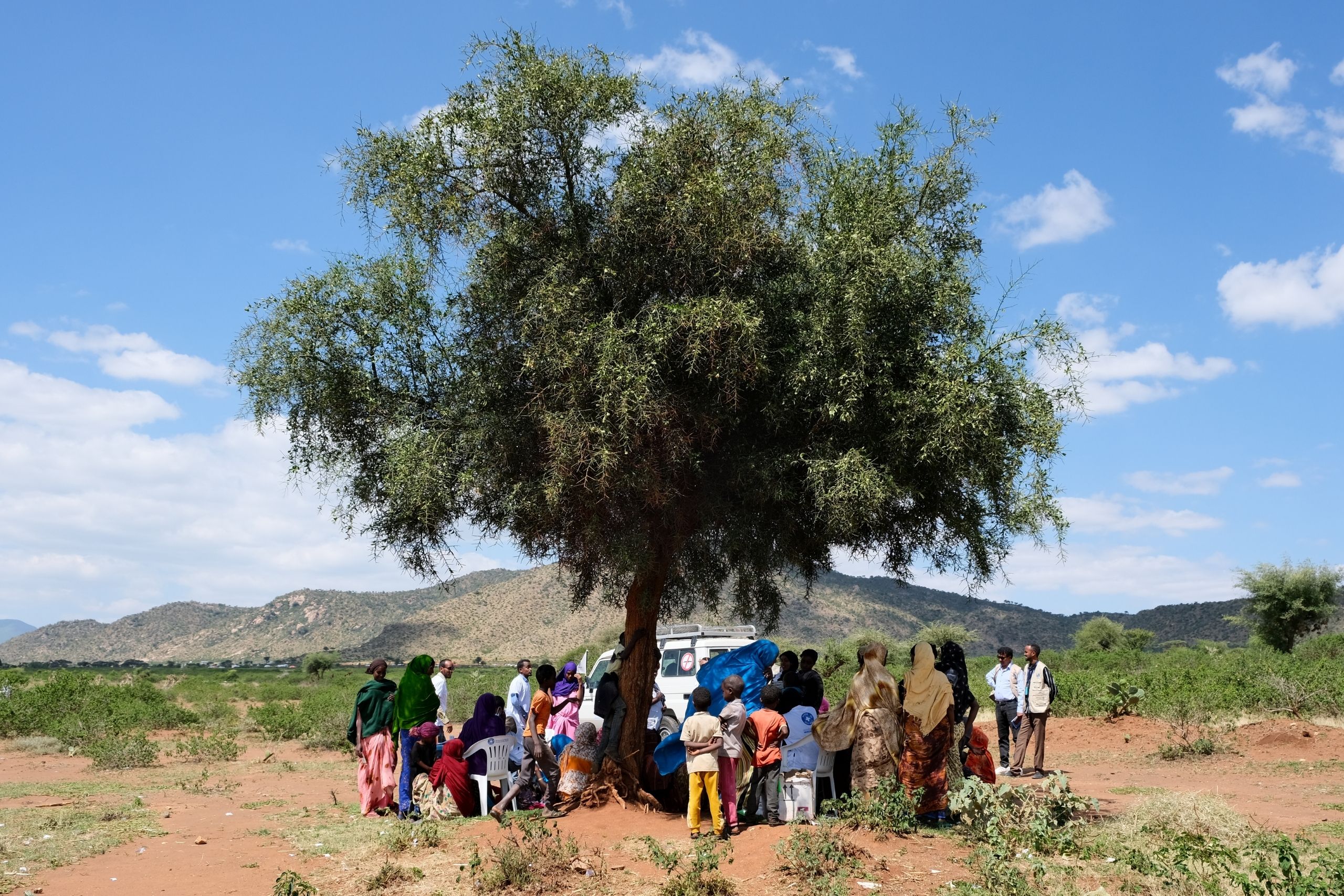 Ein mobiles Team von Ärzte der Welt in Äthiopien bietet den Bewohner*innen der umliegenden Dörfer im Schatten eines Baumes medizinische Sprechstunden an. © Ärzte der Welt