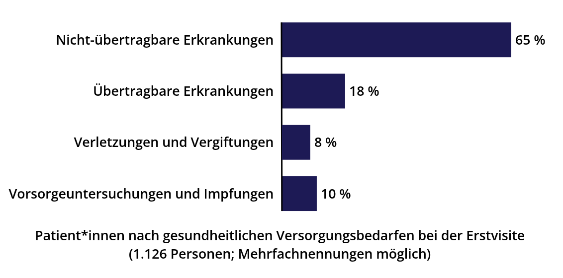 Diagramm mit den gesundheitlichen Versorgungsbedarfen der volljährigen Patient*innen. © Ärzte der Welt